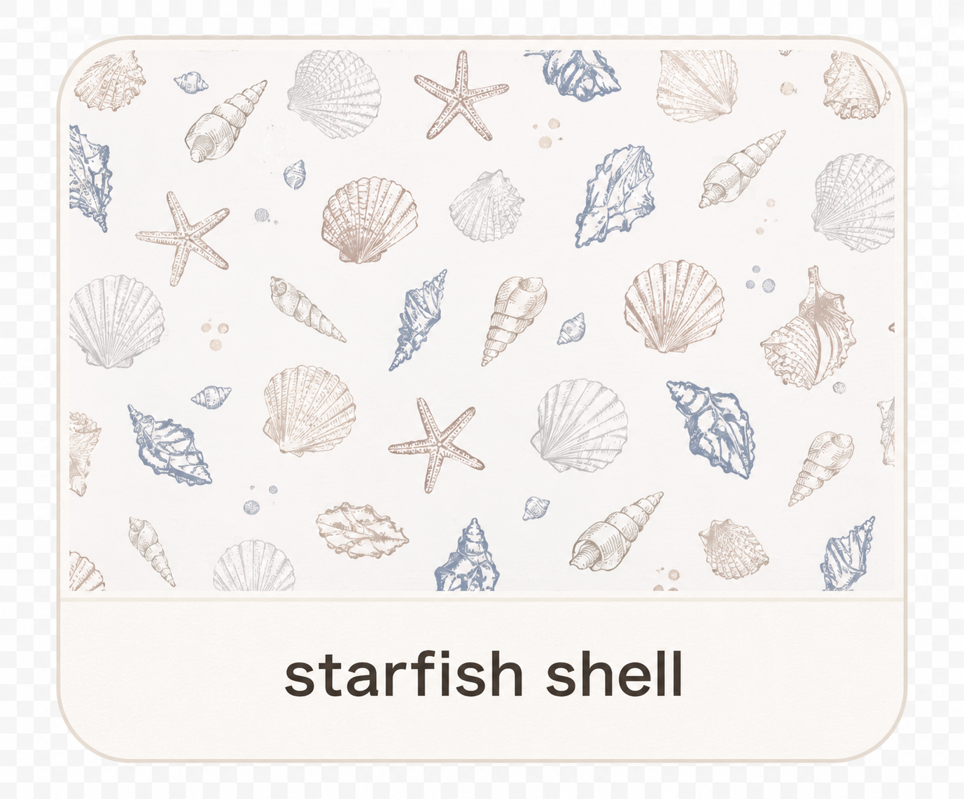 starfish shell